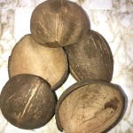 צלחות חד פעמיות